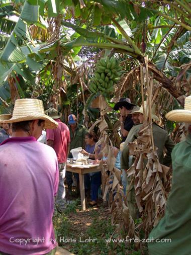2004 Cuba, Maria la Gorda - Cayo Levisa, DSC00603 B_B720